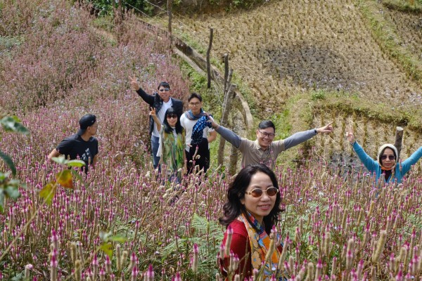 Lạc lối ở Mù Cang Chải mùa hoa Chi Pâu