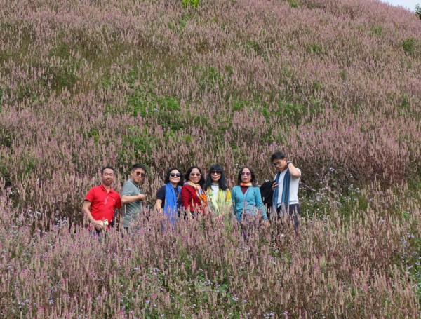 Lạc lối ở Mù Cang Chải mùa hoa Chi Pâu