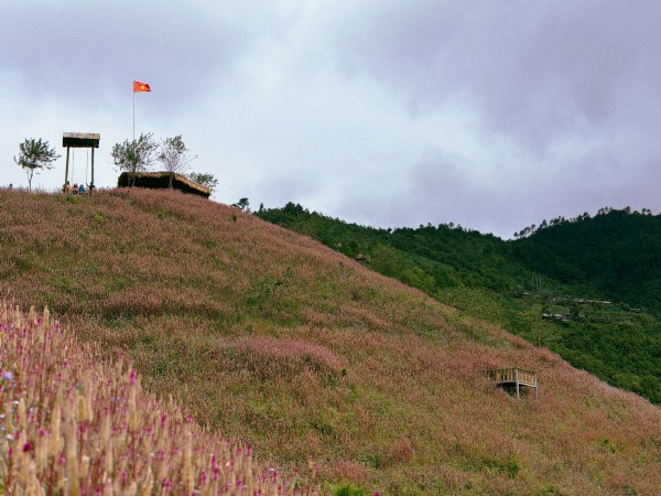 Lạc lối ở Mù Cang Chải mùa hoa Chi Pâu
