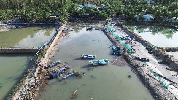 Gượng dậy sau bão