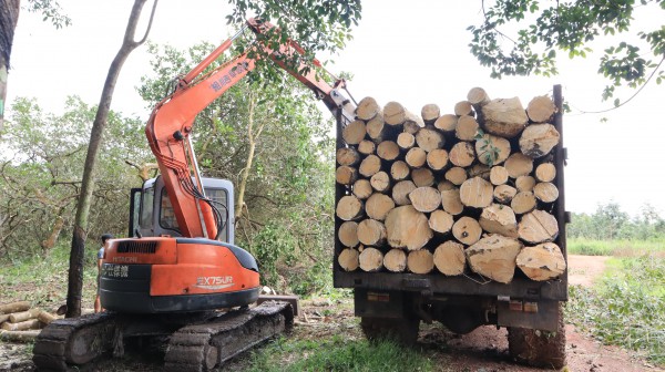 Nhận 21 tỉ đồng, bàn giao ngay đất dự án cao tốc Gia Nghĩa - Chơn Thành