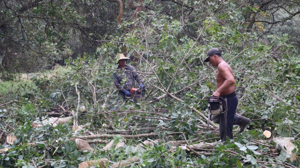 Nhận 21 tỉ đồng, bàn giao ngay đất dự án cao tốc Gia Nghĩa - Chơn Thành