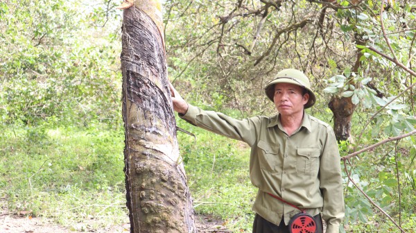 Nhận 21 tỉ đồng, bàn giao ngay đất dự án cao tốc Gia Nghĩa - Chơn Thành