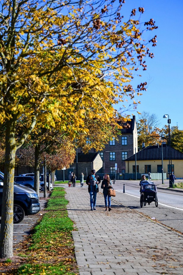 Bay thẳng tới xứ sở chuyện cổ tích Andersen Bay thẳng tới xứ sở chuyện cổ tích Andersen