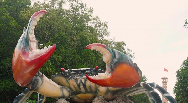 Mắm cua gạch Cà Mau: Hương vị dân dã đang dần thất truyền