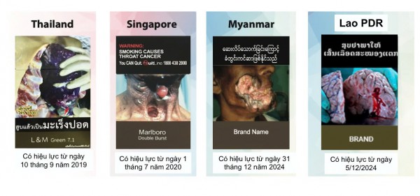 Khoảng 1,6 triệu người tử vong do hút thuốc lá thụ động mỗi năm