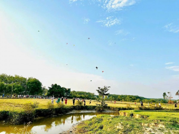 Cánh đồng lúa đẹp như tranh vẽ tại Đồng Nai