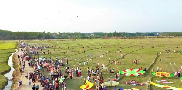 Cánh đồng lúa đẹp như tranh vẽ tại Đồng Nai