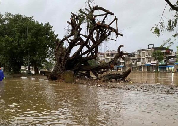 Huế: Lũ sông Bồ đã vượt báo động 3, nhiều vùng đã ngập sâu Huế: Lũ sông Bồ đã vượt báo động 3, nhiều vùng đã ngập sâu