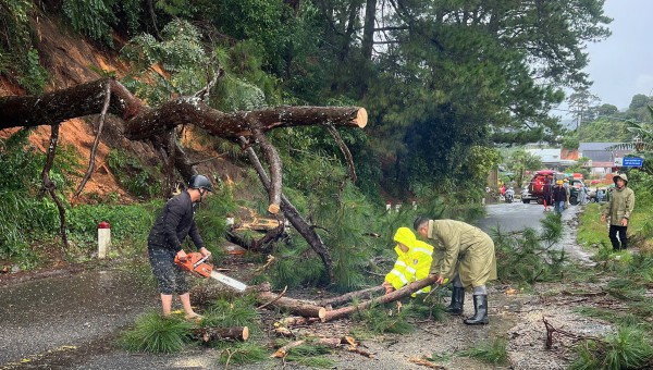 Sạt lở đèo Khánh Lê, đèo Ngoạn Mục: CSGT Lâm Đồng giải cứu nhiều người trong đêm Sạt lở đèo Khánh Lê, đèo Ngoạn Mục: CSGT Lâm Đồng giải cứu nhiều người trong đêm