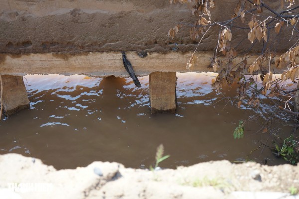 Đồng Tháp: Sạt lở làm kè sông Tiền 'hổng chân', hố sâu xuất hiện trên đường Đồng Tháp: Sạt lở làm kè sông Tiền 'hổng chân', hố sâu xuất hiện trên đường