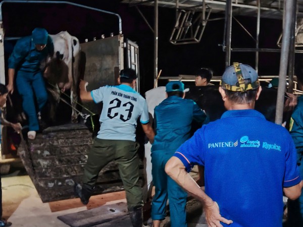 Lâm Đồng: Xuyên đêm đưa dân ra khỏi vùng rốn lũ Cát Tiên