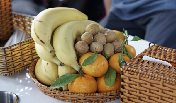 Một ngày đi tour đường sông tới Củ Chi có gì?