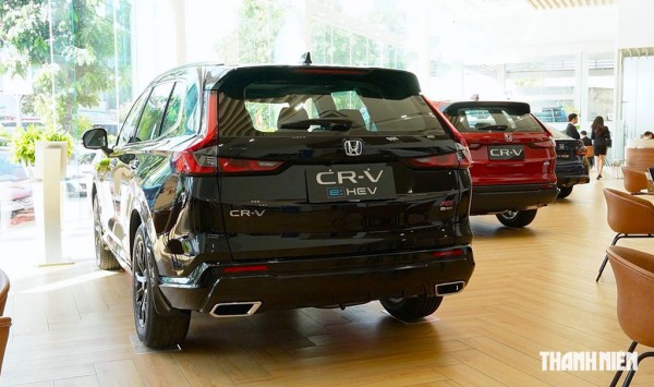 Các 'ông lớn' rục rịch lắp ráp, thời của ô tô hybrid tại Việt Nam đã đến? Các 'ông lớn' rục rịch lắp ráp, thời của ô tô hybrid tại Việt Nam đã đến?