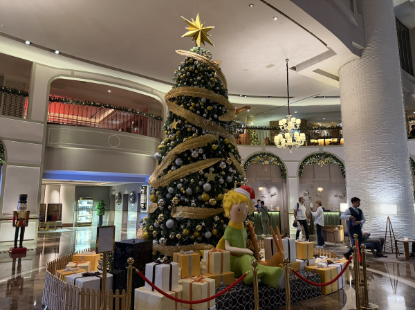 Trời trở lạnh 19 độ, TP.HCM thắp sáng hàng loạt cây thông Noel