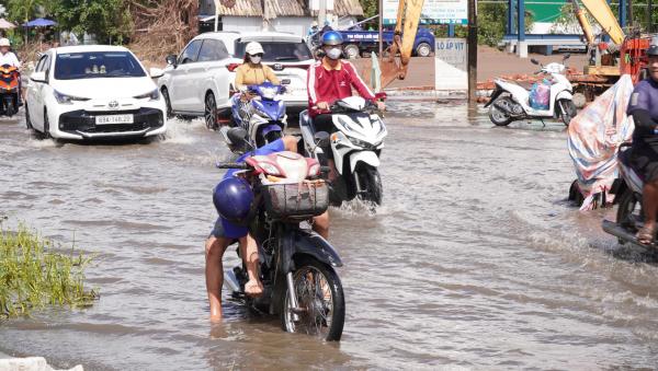 Cà Mau ứng phó cao điểm triều cường, vận hành hơn 300 cống đập ven biển