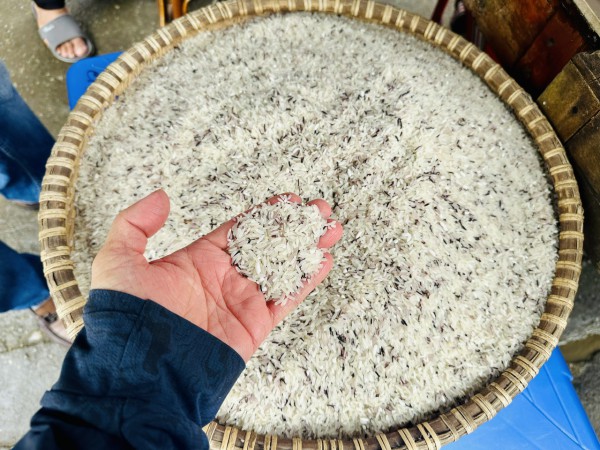 Chính thức: Philippines cấm nhập khẩu gạo đến hết năm 2025