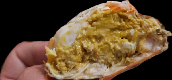 Cua yếm vuông Cà Mau: Đặc sản khiến dân sành ăn 'lơ' luôn cua gạch Cua yếm vuông Cà Mau: Đặc sản khiến dân sành ăn 'lơ' luôn cua gạch