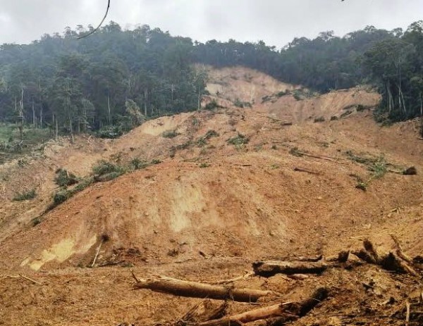 Đà Nẵng: Xác định danh tính 3 người nghi bị vùi lấp sau vụ sạt lở núi Đà Nẵng: Xác định danh tính 3 người nghi bị vùi lấp sau vụ sạt lở núi