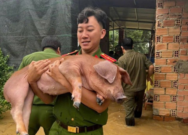 Đồng Nai: Thủy điện xả tràn không báo trước gây ngập lụt, thiệt hại 40 tỉ đồng