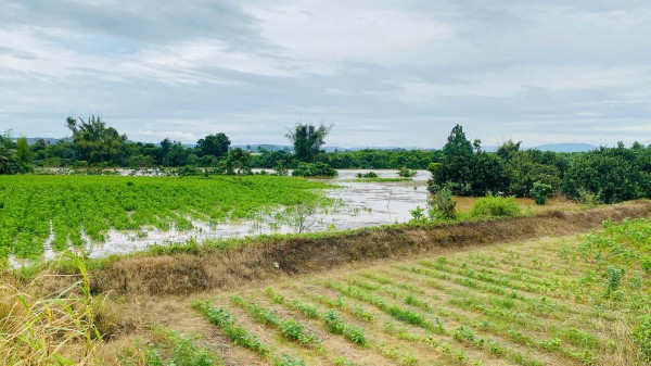 Đồng Nai: Thủy điện xả tràn không báo trước gây ngập lụt, thiệt hại 40 tỉ đồng
