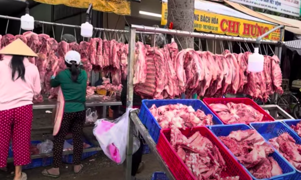 Giá heo hơi hôm nay 26.11.2025: Biến động khó lường