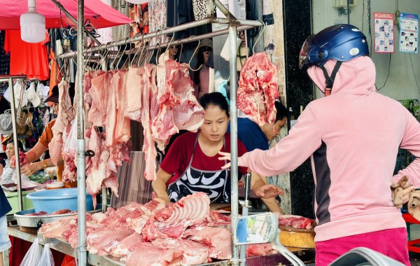 Giá heo hơi hôm nay 27.11.2025: 'Vùng trũng' tăng đồng loạt