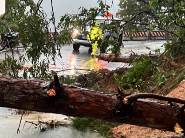 Lâm Đồng ứng phó khẩn cấp tình trạng sạt lở liên tiếp Lâm Đồng ứng phó khẩn cấp tình trạng sạt lở liên tiếp