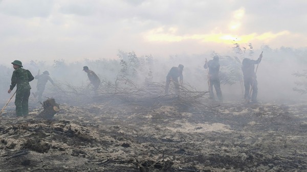 Quảng Trị: Cháy rừng phòng hộ ven biển do người dân đốt thực bì