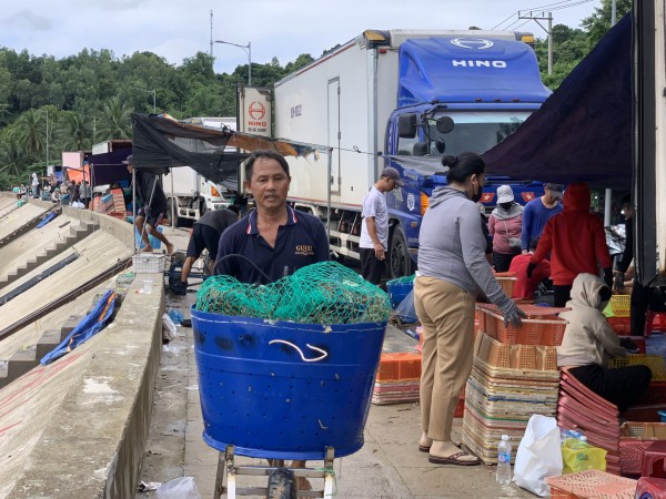 Thủ phủ tôm hùm vịnh Xuân Đài 'chạy đua' với bão số 13 Kalmaegi Thủ phủ tôm hùm vịnh Xuân Đài 'chạy đua' với bão số 13 Kalmaegi