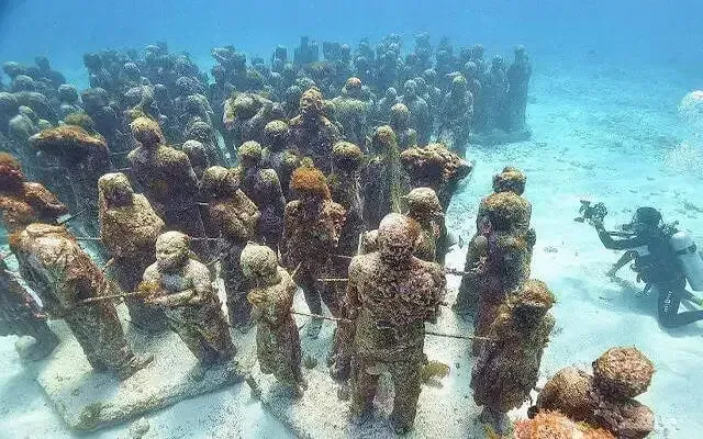 (Ảnh: Travel Triangle)