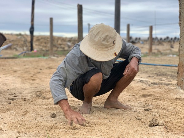 Đất làng rau phường Tuy Hòa thành 'đất chết', 'bỏ không được, nhìn đắng cay'