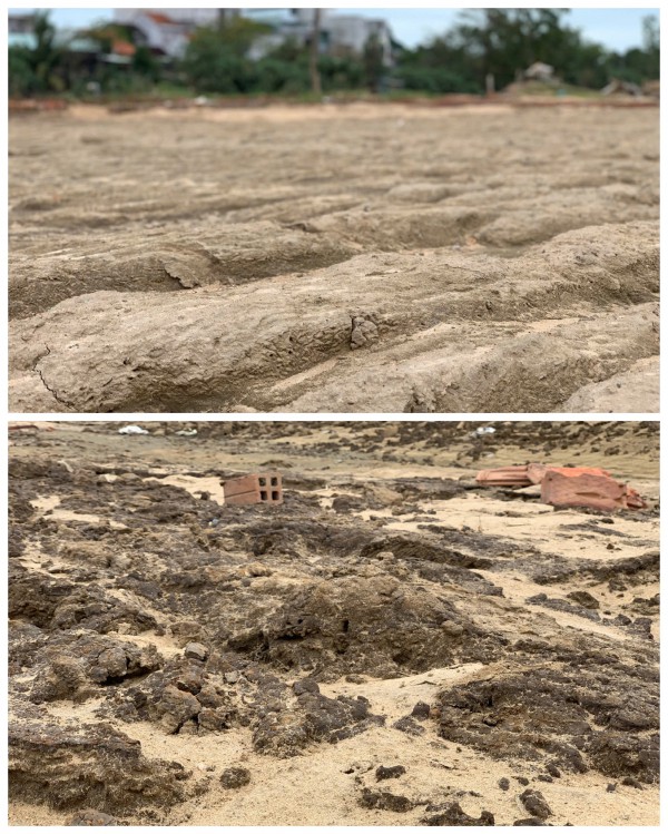 Đất làng rau phường Tuy Hòa thành 'đất chết', 'bỏ không được, nhìn đắng cay'