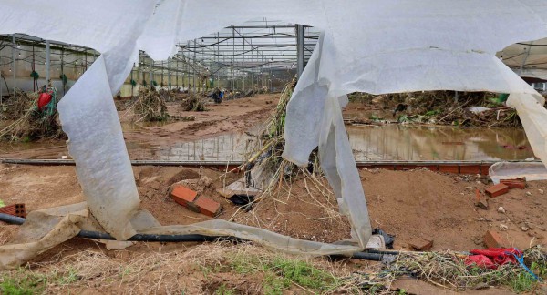 Lũ cuốn trôi 'thủ phủ' rau Lâm Đồng