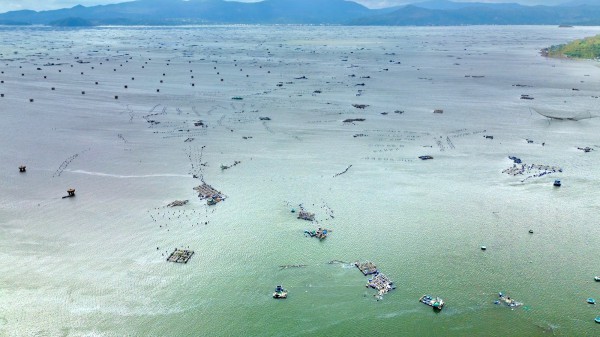 Thủ phủ tôm hùm nỗ lực hồi sinh sau lũ