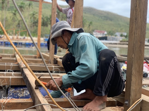 Thủ phủ tôm hùm nỗ lực hồi sinh sau lũ