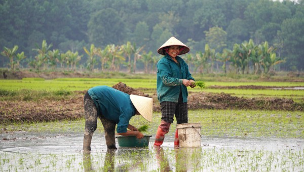 Vẻ đẹp cổ kính của kinh đô nhà Hồ hơn 600 năm tuổi Vẻ đẹp cổ kính của kinh đô nhà Hồ hơn 600 năm tuổi