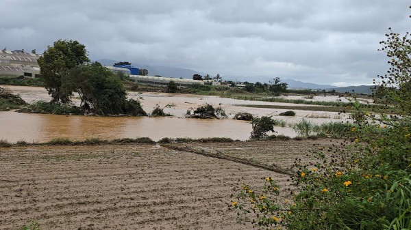 Vì sao mưa lũ gây thiệt hại lớn ở Lâm Đồng? Vì sao mưa lũ gây thiệt hại lớn ở Lâm Đồng?