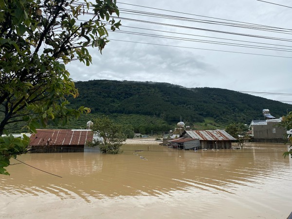 Tan hoang 'thủ phủ' hoa lay ơn Tan hoang 'thủ phủ' hoa lay ơn