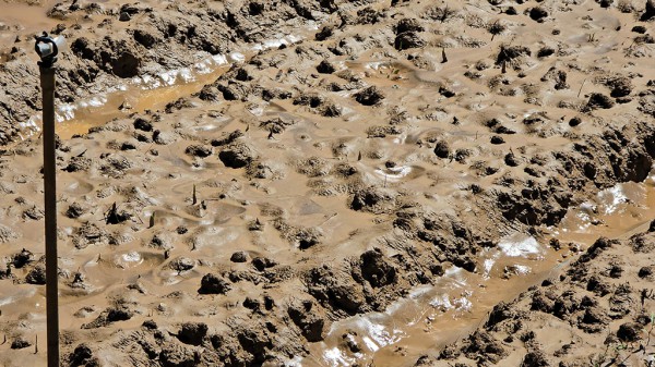 Tan hoang 'thủ phủ' hoa lay ơn Tan hoang 'thủ phủ' hoa lay ơn