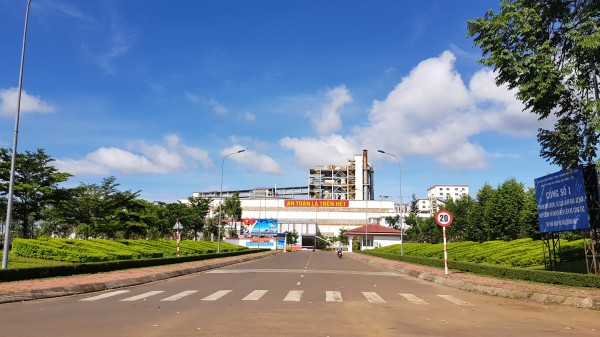 Lâm Đồng kiến nghị đưa khoảng 55.000 ha ra khỏi quy hoạch bô xít Lâm Đồng kiến nghị đưa khoảng 55.000 ha ra khỏi quy hoạch bô xít