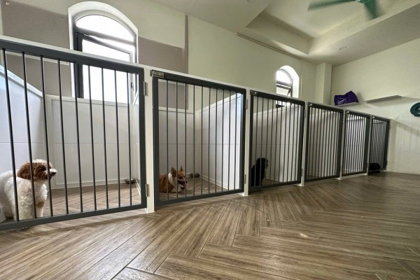 Làm đẹp thú cưng ở TP.HCM: Áp lực 'khủng' với khách hàng 4 chân Làm đẹp thú cưng ở TP.HCM: Áp lực 'khủng' với khách hàng 4 chân