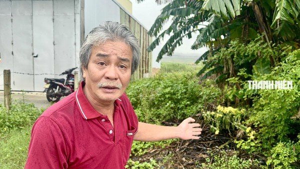 Vụ trúng đấu giá nhưng 18 năm không thấy đất: Tìm hướng giải quyết Vụ trúng đấu giá nhưng 18 năm không thấy đất: Tìm hướng giải quyết