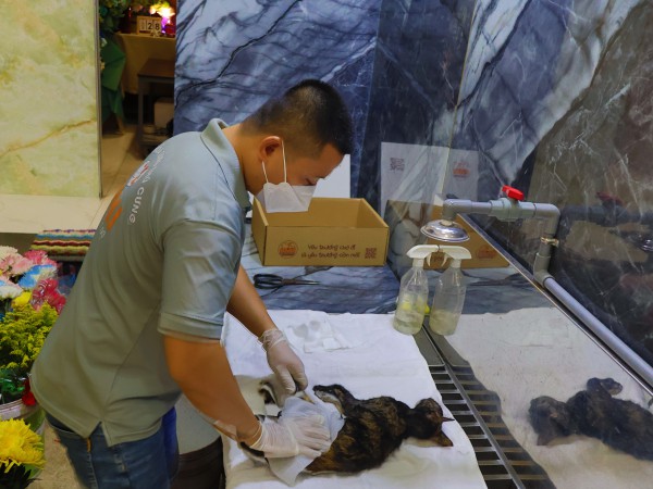 Hỏa táng thú cưng: Ngày đầu vào Bình Hưng Hòa 'hơi sợ sợ'