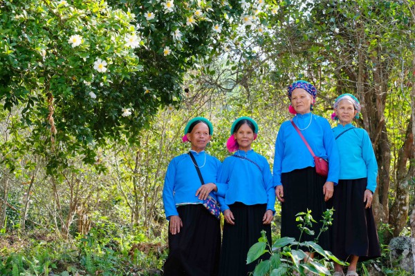 Bình Liêu mùa hoa sở gọi bước du khách Bình Liêu mùa hoa sở gọi bước du khách