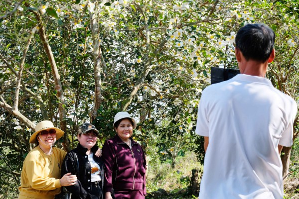 Bình Liêu mùa hoa sở gọi bước du khách Bình Liêu mùa hoa sở gọi bước du khách