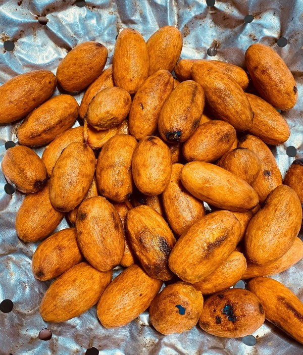 Trái cọ vào mùa: Ăn sao cho đúng để không rát cổ? Trái cọ vào mùa: Ăn sao cho đúng để không rát cổ?