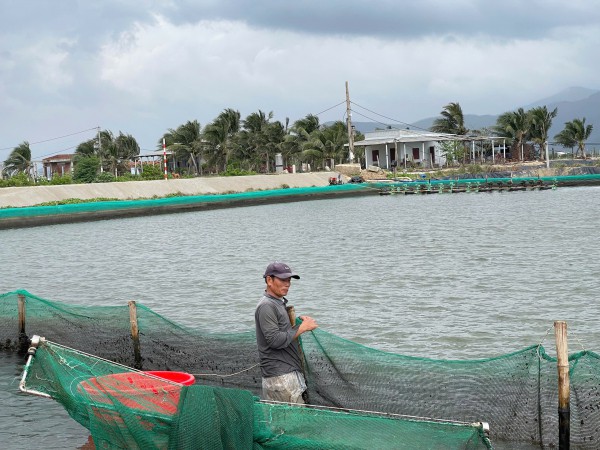 Tái thiết vùng rốn lũ: Vá lại tàu thuyền, trở lại nhịp sống mưu sinh