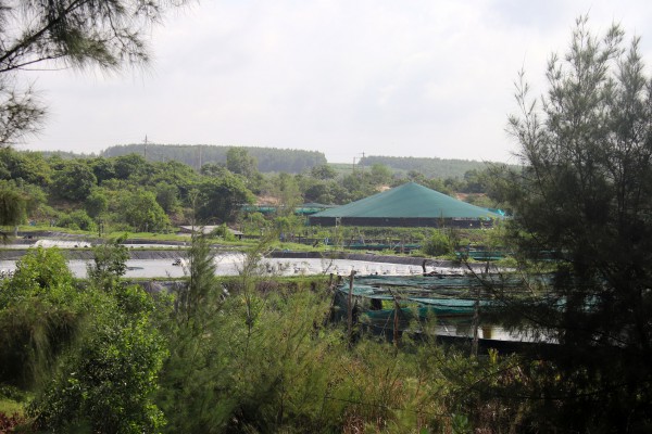 KCN Sơn Mỹ tỉ đô ‘đứng bánh’ vì tắc bồi thường, giải phóng mặt bằng