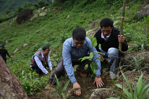 Đà Nẵng phát động chương trình 'Rừng ơi, thở đi!'